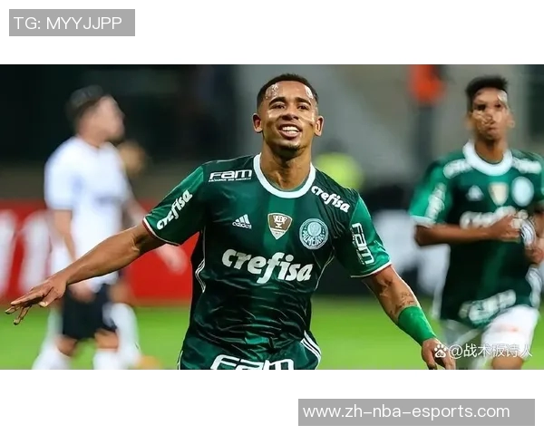 迈阿密国际成功引进帕尔梅拉斯中卫米凯尔达成协议消息曝光